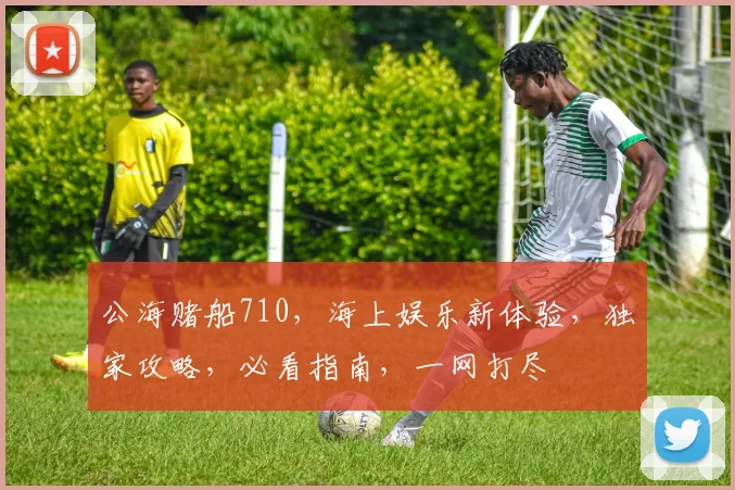公海赌船710，海上娱乐新体验，独家攻略，必看指南，一网打尽