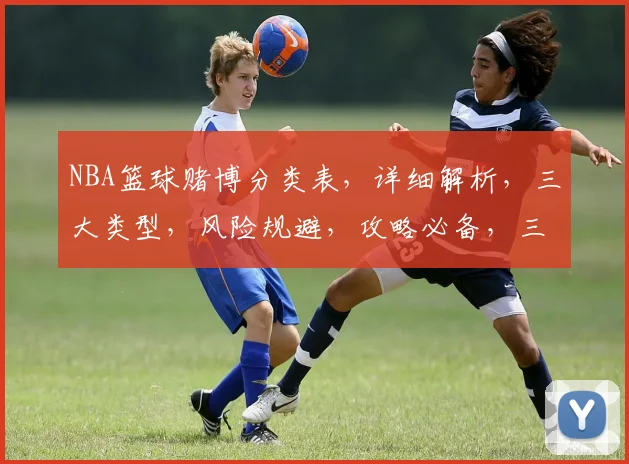 NBA篮球赌博分类表，详细解析，三大类型，风险规避，攻略必备，三步掌握