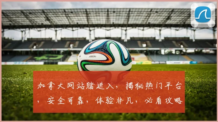 加拿大网站赌进入，揭秘热门平台，安全可靠，体验非凡，必看攻略，三大亮点