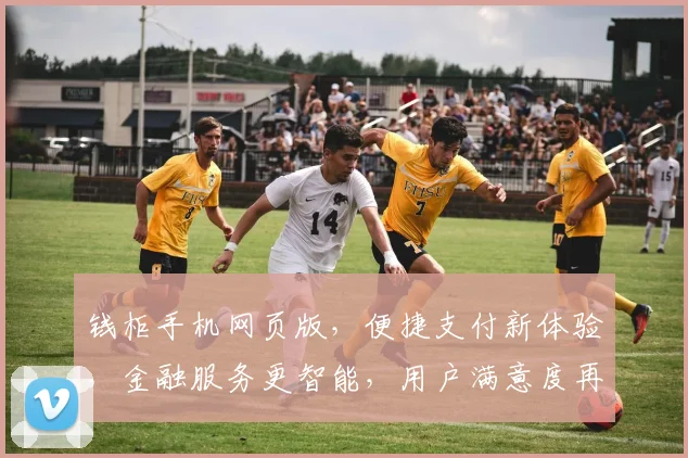 钱柜手机网页版，便捷支付新体验，金融服务更智能，用户满意度再升级