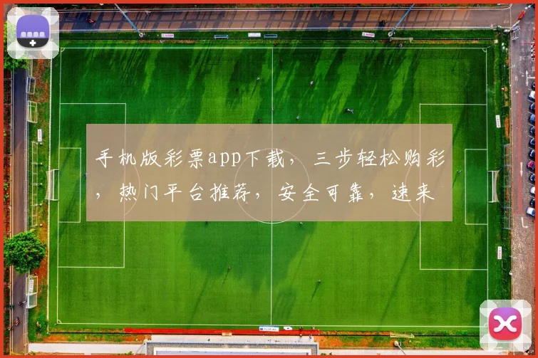 手机版彩票app下载，三步轻松购彩，热门平台推荐，安全可靠，速来体验